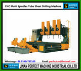 Multi Spindles CNC Drilling Machine for Tube Sheet (Model PHD5050-4)