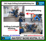 CNC Angle Drilling & Marking Line (Cutting Unit in Option)