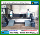 Multi Spindles CNC Drilling Machine for Tube Sheet (Model PHD3030-2)