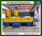 High Speed CNC Tube Sheet Drilling Machine (Model PHD6060-2)