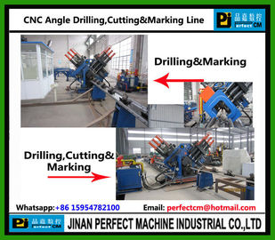 CNC Angle Drilling & Marking Line (Cutting Unit in Option)