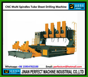 Multi Heads Tube sheet Drilling Machine