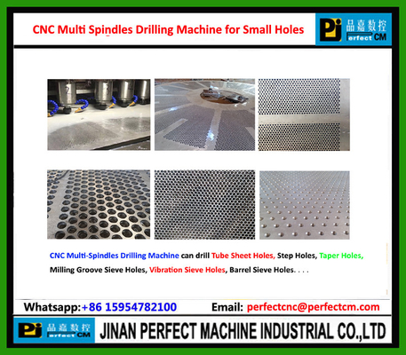 CNC Multi Spindles Drilling Machine for Plate,Flange,Tube Sheet