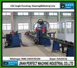 CNC Angle Punching, Shearing and Marking Line (Model BL1010/BL1412/BL1412A/BL2020)