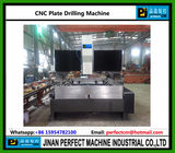 CNC Gantry Type Plate Drilling Machine Supplier Used in Steel Structure Industry (PD2012)