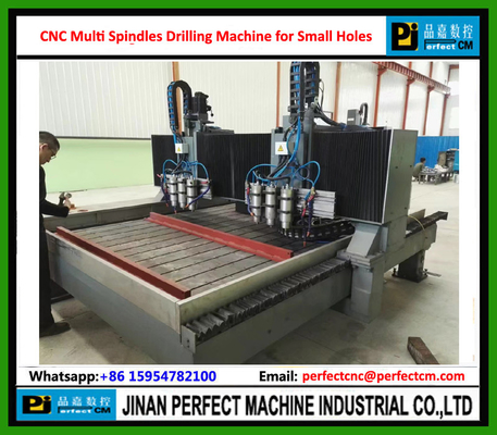 CNC Multi Spindles Drilling Machine for Step Holes, Taper Holes, Milling Groove Sieve holes, Vibration Sieve