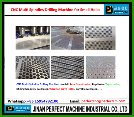 CNC Multi Spindles Drilling Machine for Step Holes, Taper Holes, Milling Groove Sieve holes, Vibration Sieve