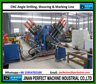 CNC Angle Drilling and Marking Line Used in Iron Tower Industry (BL2532)